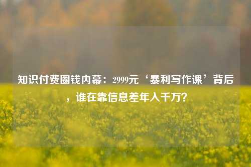 知识付费圈钱内幕：2999元‘暴利写作课’背后，谁在靠信息差年入千万？
